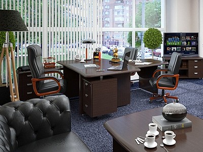 Кабинет для руководителя Сенат